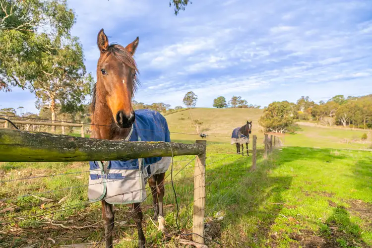 Second view of Homely land listing, 71 English Street, Hahndorf SA 5245