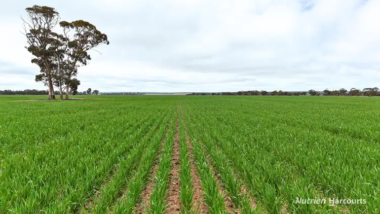 Second view of Homely rural property listing, 85 Four Mile Gate Road, Walgoolan WA 6422