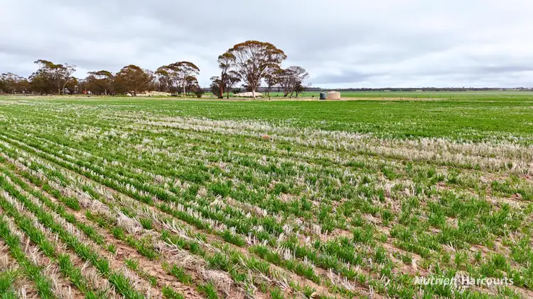 Third view of Homely rural property listing, 85 Four Mile Gate Road, Walgoolan WA 6422