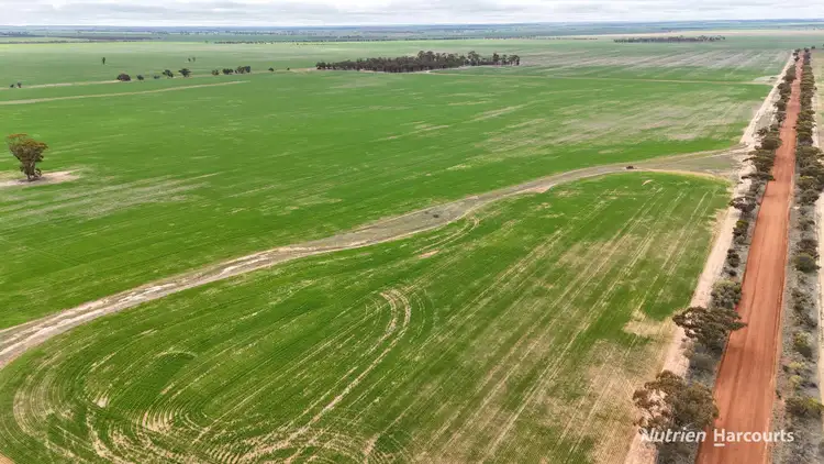 Fifth view of Homely rural property listing, 85 Four Mile Gate Road, Walgoolan WA 6422