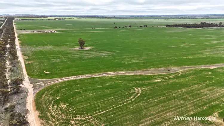 Sixth view of Homely rural property listing, 85 Four Mile Gate Road, Walgoolan WA 6422