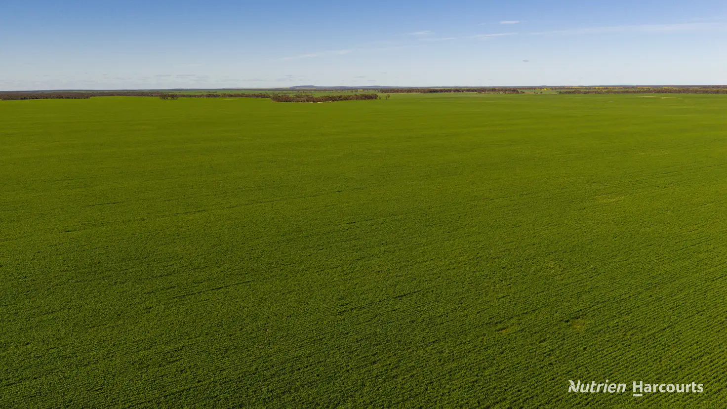 Main view of Homely rural property listing, . Styles Road, Scaddan WA 6447