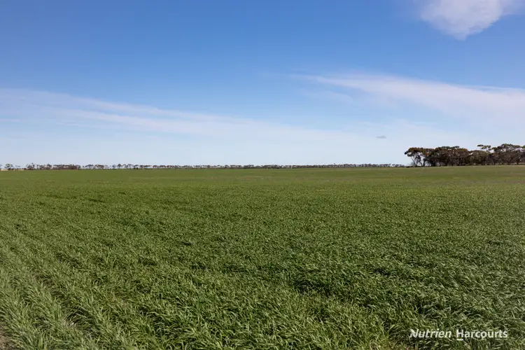 Third view of Homely rural property listing, . Styles Road, Scaddan WA 6447