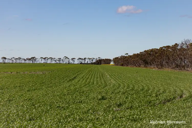 Fifth view of Homely rural property listing, . Styles Road, Scaddan WA 6447