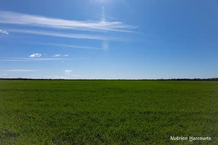 Sixth view of Homely rural property listing, . Styles Road, Scaddan WA 6447