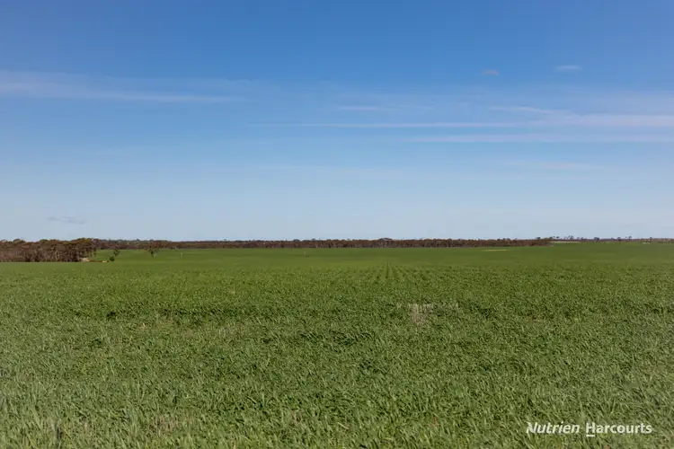 Seventh view of Homely rural property listing, . Styles Road, Scaddan WA 6447