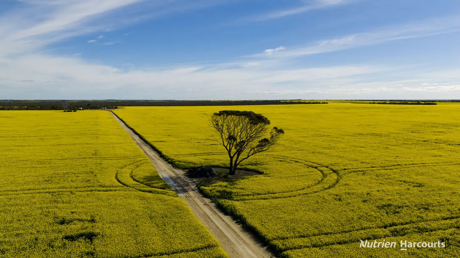 Main view of Homely rural property listing, . Kendall Road, Scaddan WA 6447