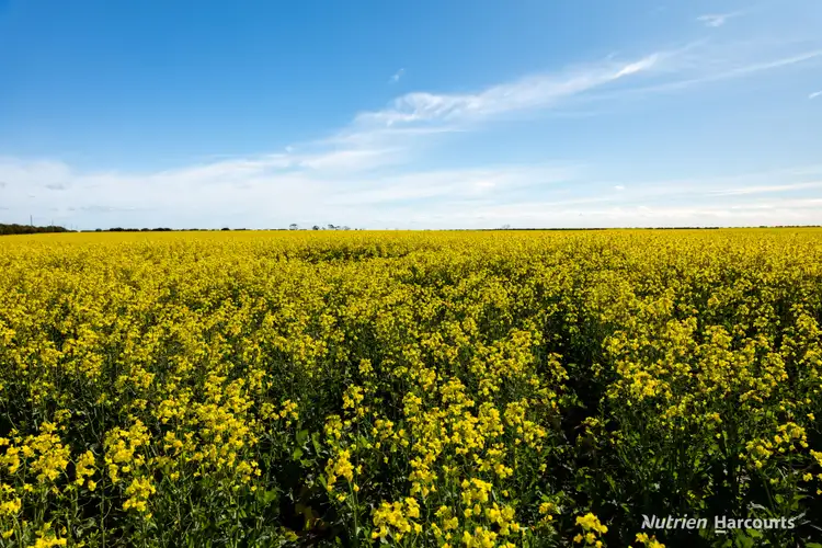 Second view of Homely rural property listing, . Kendall Road, Scaddan WA 6447