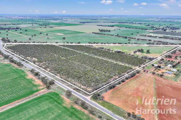 Fourth view of Homely rural property listing, 880 Thyra Road, Moama NSW 2731