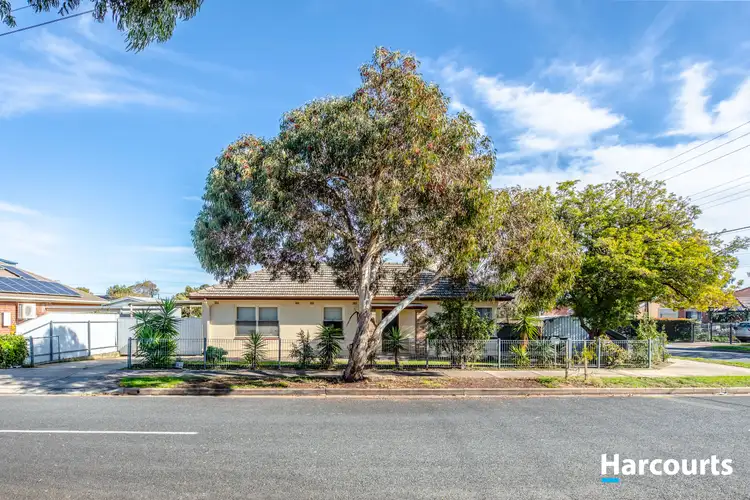19 Surrey Street, Blair Athol SA 5084