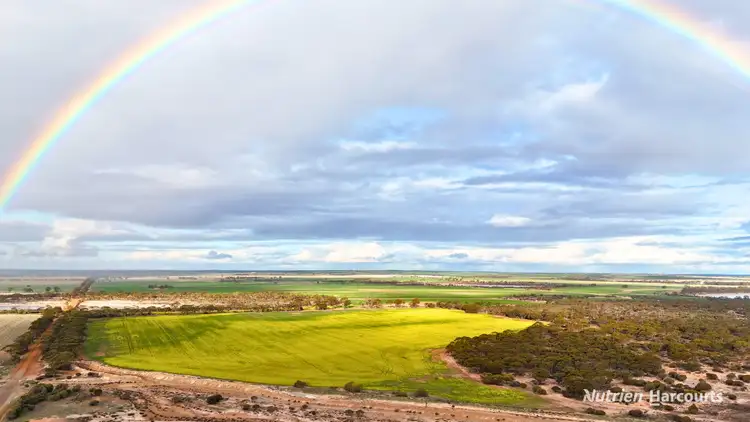 Lots 19295 & 27431 Soldiers Road, Wadderin WA 6369