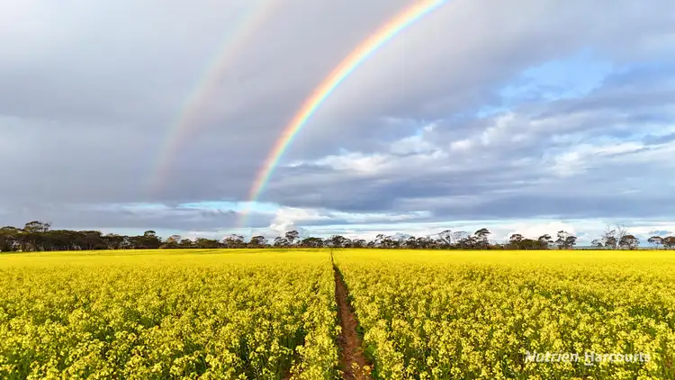Second view of Homely rural property listing, Lots 19295 & 27431 Soldiers Road, Wadderin WA 6369