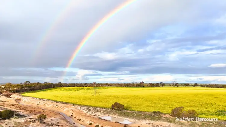 Third view of Homely rural property listing, Lots 19295 & 27431 Soldiers Road, Wadderin WA 6369