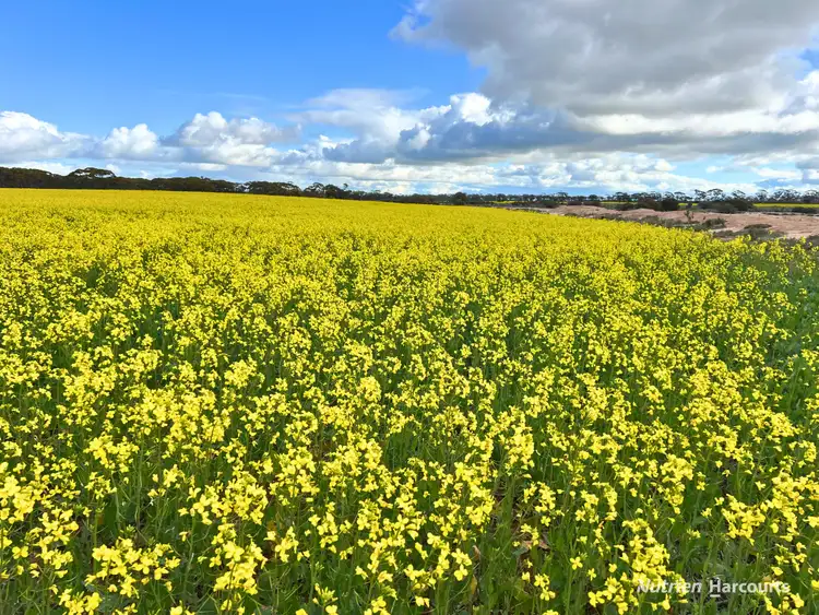 Fourth view of Homely rural property listing, Lots 19295 & 27431 Soldiers Road, Wadderin WA 6369
