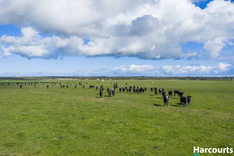 Fifth view of Homely rural property listing, 120 Stewart and Dunlop's Road, Middle Tarwin VIC 3956