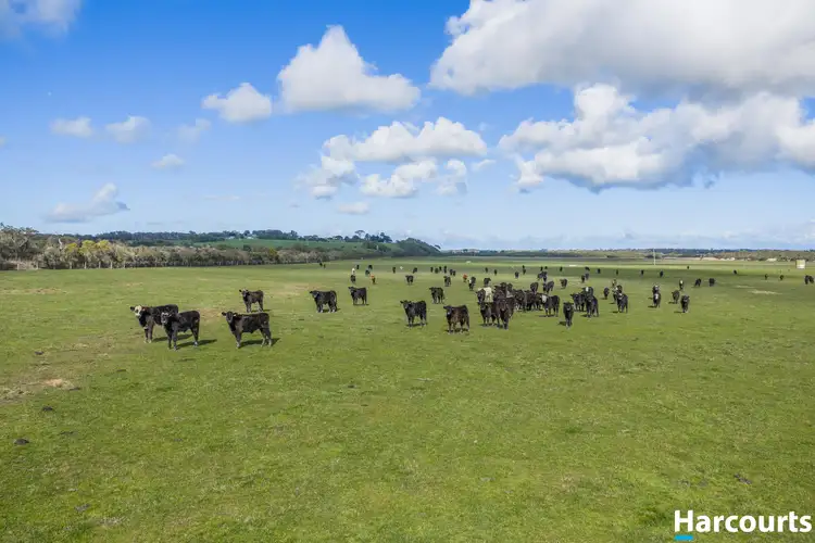 Sixth view of Homely rural property listing, 120 Stewart and Dunlop's Road, Middle Tarwin VIC 3956