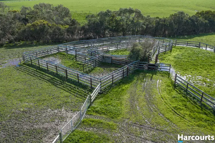 Seventh view of Homely rural property listing, 120 Stewart and Dunlop's Road, Middle Tarwin VIC 3956