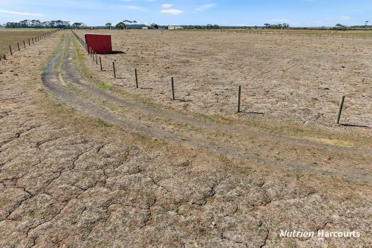 Fifth view of Homely rural property listing, 189A Ti Tree Road, Alberton VIC 3971