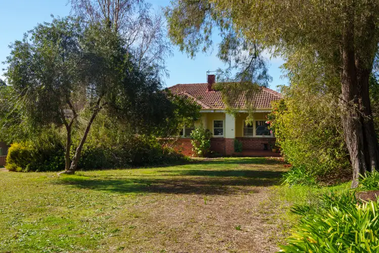 40 Mottram Street, Manjimup WA 6258
