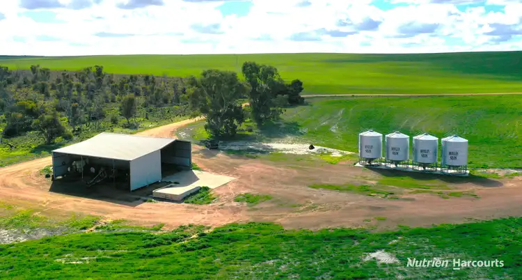 . Andrina Farm, Warradarge WA 6518
