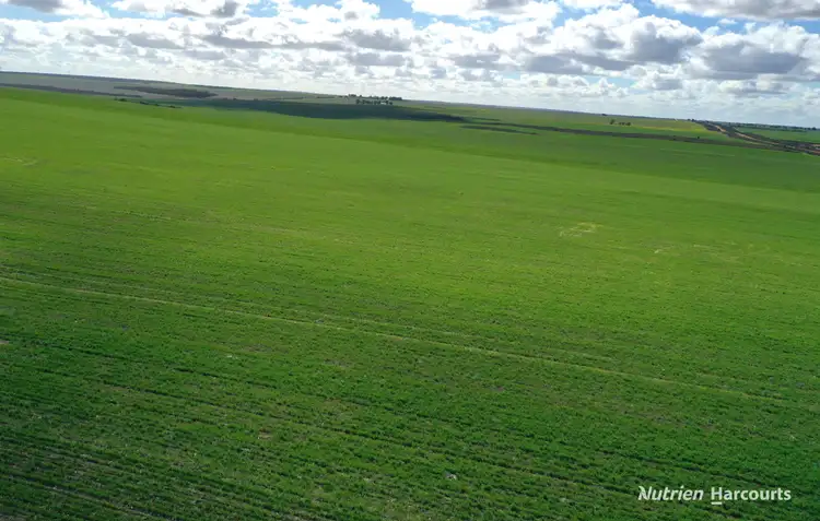 Second view of Homely rural property listing, . Andrina Farm, Warradarge WA 6518