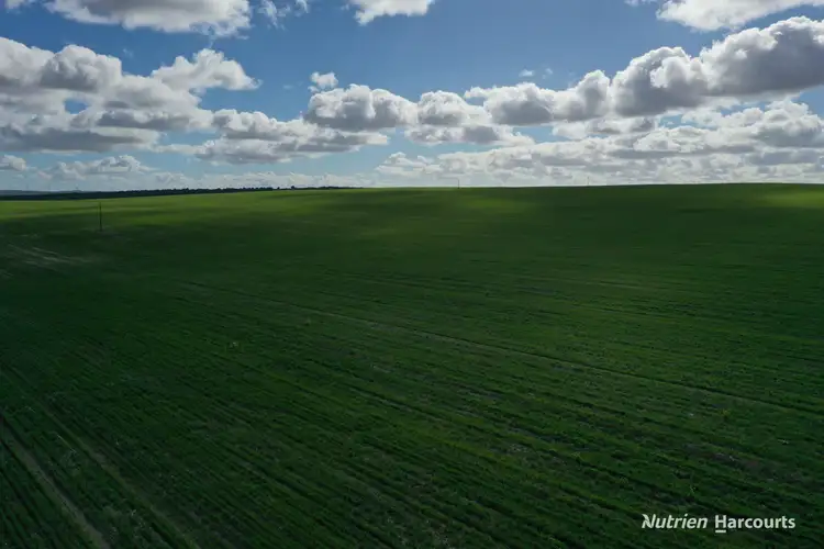 Fifth view of Homely rural property listing, . Andrina Farm, Warradarge WA 6518