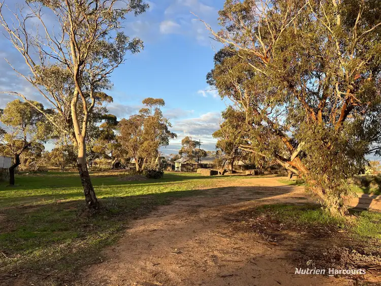 . Birnie Downs, Bencubbin WA 6477