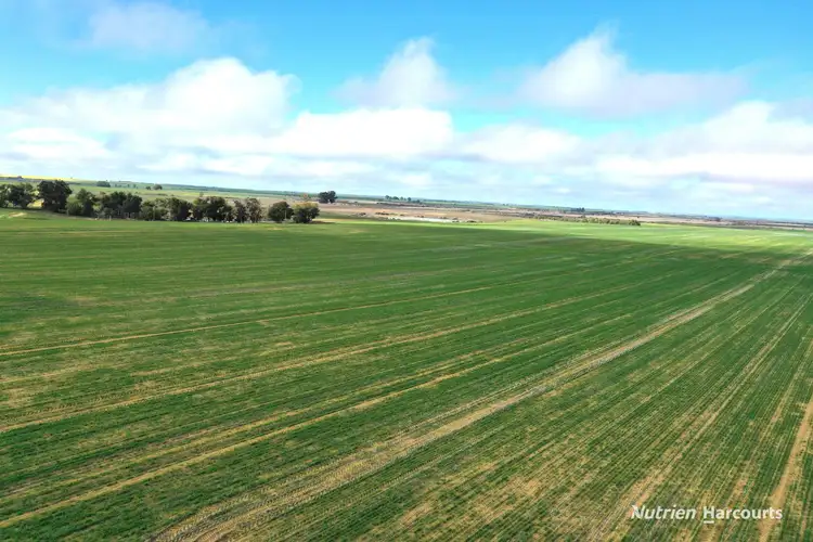Sixth view of Homely rural property listing, . Birnie Downs, Bencubbin WA 6477