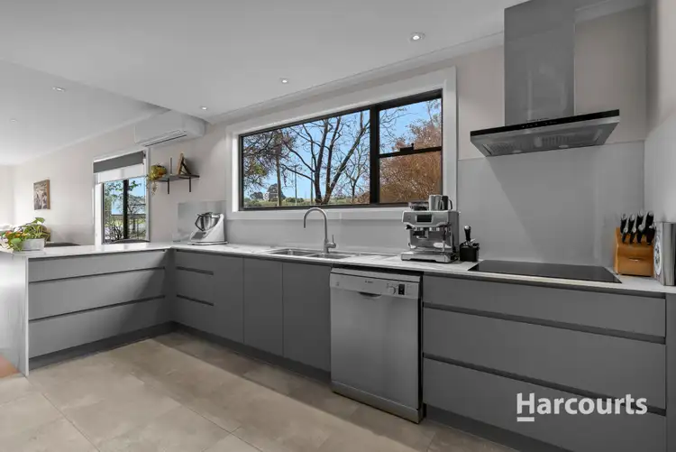 Fifth view of Homely house listing, 50 Ringarooma Road, Scottsdale TAS 7260
