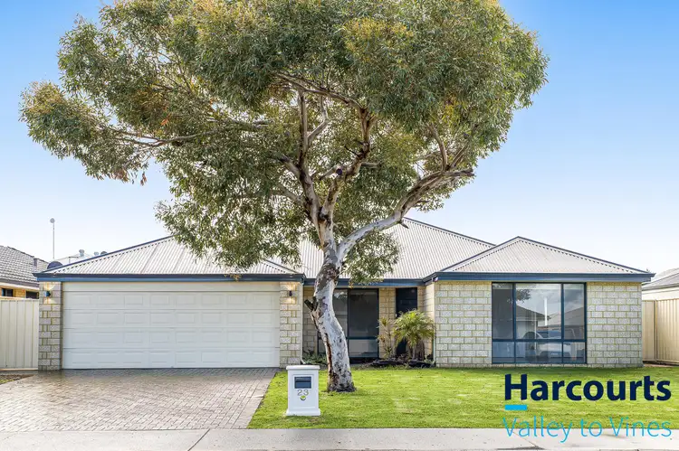 23 Sundowner Meander, Banksia Grove WA 6031
