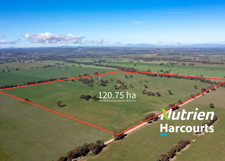 CA 42 & 43 / PP2180 Boralma-Rutherglen Road