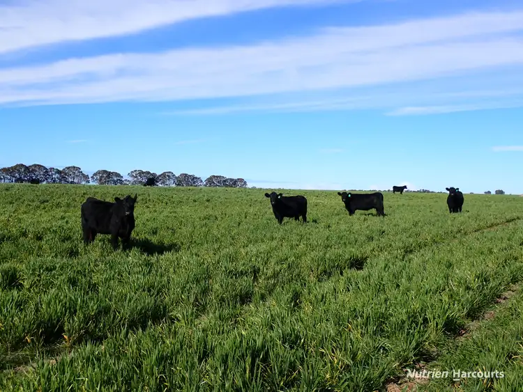 Fourth view of Homely rural property listing, Lot 1 Dempster Road, Esperance WA 6450