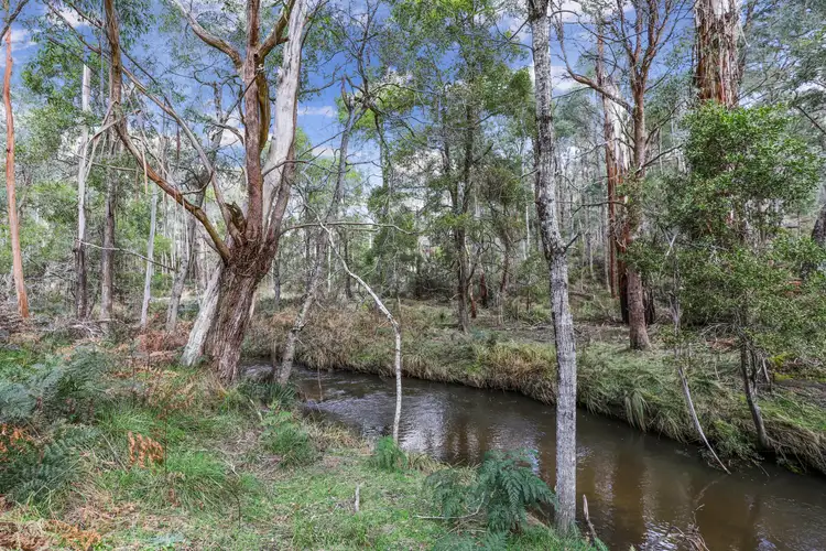 Third view of Homely rural property listing, 467 Bonang Road, Bendoc VIC 3888