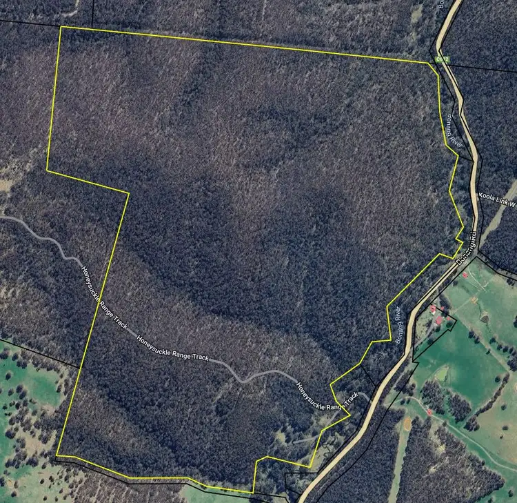 Fourth view of Homely rural property listing, 467 Bonang Road, Bendoc VIC 3888