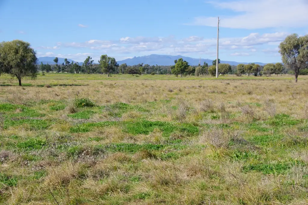 Main view of Homely rural property listing, 57 Kaputar Road, Narrabri NSW 2390