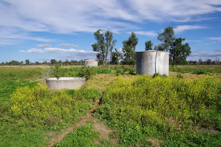 Third view of Homely rural property listing, 57 Kaputar Road, Narrabri NSW 2390