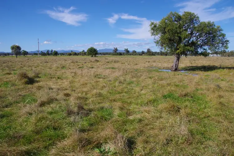 Fourth view of Homely rural property listing, 57 Kaputar Road, Narrabri NSW 2390