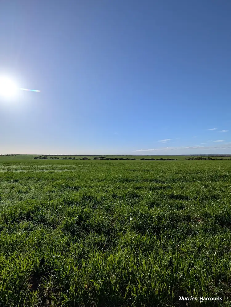 Fifth view of Homely rural property listing, "Fox's" Koorda-Bullfinch Road, Warralakin WA 6421