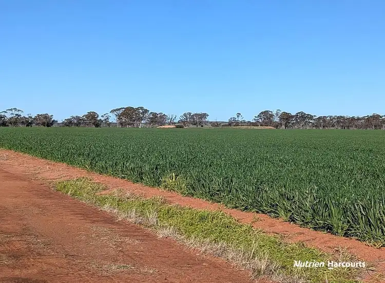 Seventh view of Homely rural property listing, "Fox's" Koorda-Bullfinch Road, Warralakin WA 6421