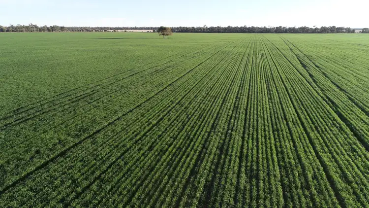 "Arrowfield" 648 Spinks Road, Goondiwindi QLD 4390