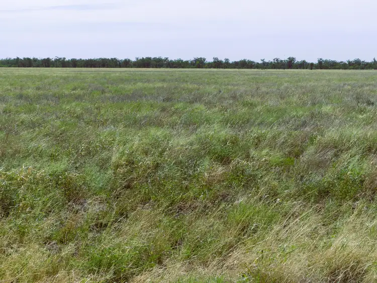 Fourth view of Homely rural property listing, 'Claverton Park' 871 Claverton Park Road, Charleville QLD 4470