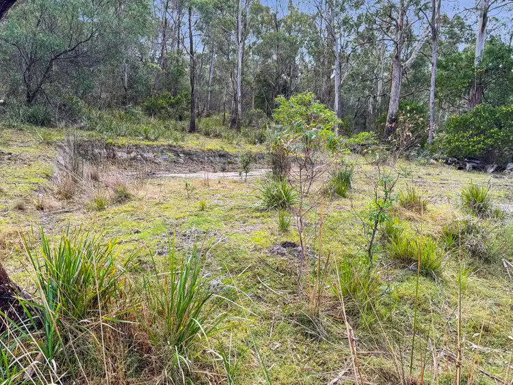 Fourth view of Homely land listing, 62 Acacia Drive, Ansons Bay TAS 7264