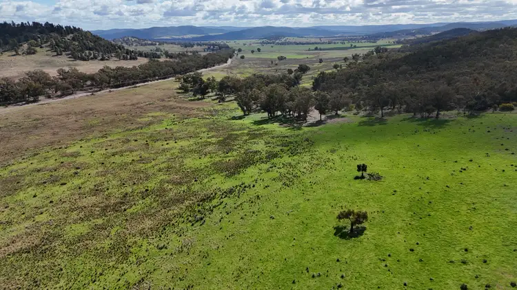 2614 Nangar Road, Eugowra NSW 2806