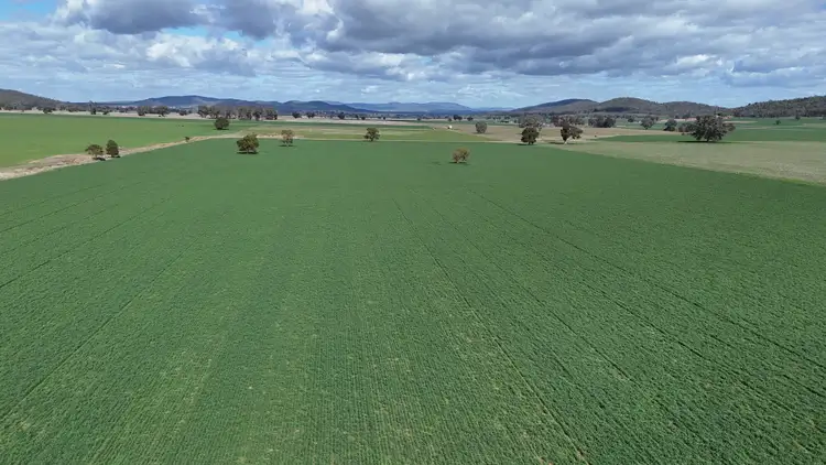 Second view of Homely rural property listing, 354 Mount Pleasant Road, Eugowra NSW 2806
