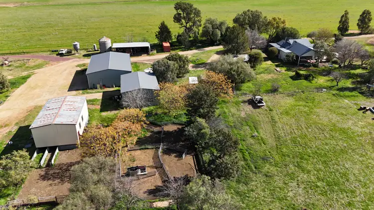 Fourth view of Homely rural property listing, 354 Mount Pleasant Road, Eugowra NSW 2806