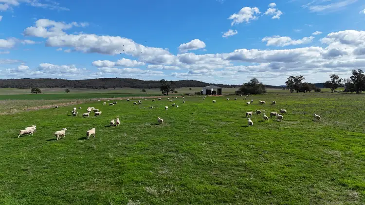 Seventh view of Homely rural property listing, 354 Mount Pleasant Road, Eugowra NSW 2806