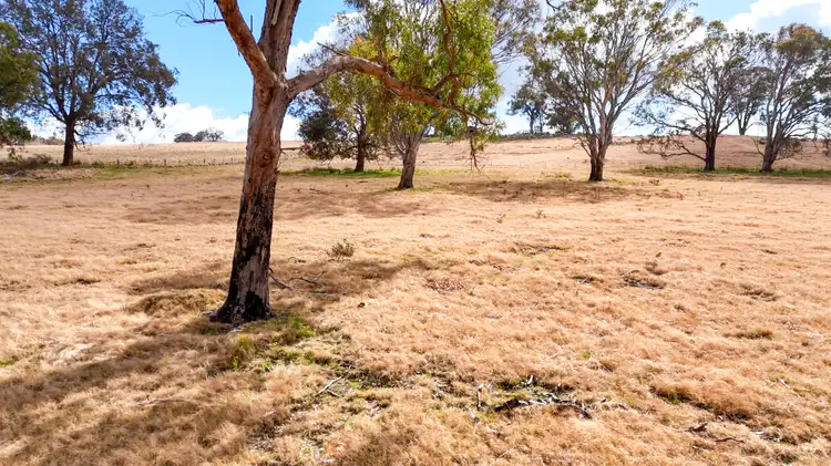 Sixth view of Homely rural property listing, Lot 1 Mount MacKenzie Road, Tenterfield NSW 2372