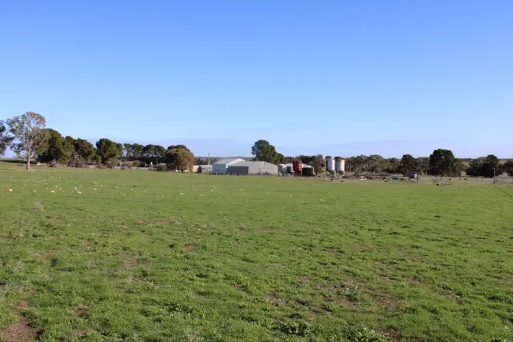 Third view of Homely rural property listing, 2221 Tynan Road, Yumali SA 5261
