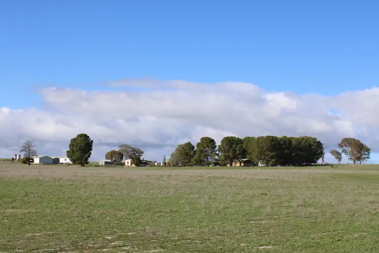 Fourth view of Homely rural property listing, 2221 Tynan Road, Yumali SA 5261