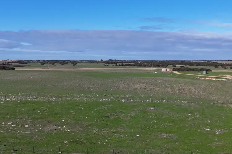 Fifth view of Homely rural property listing, 2221 Tynan Road, Yumali SA 5261